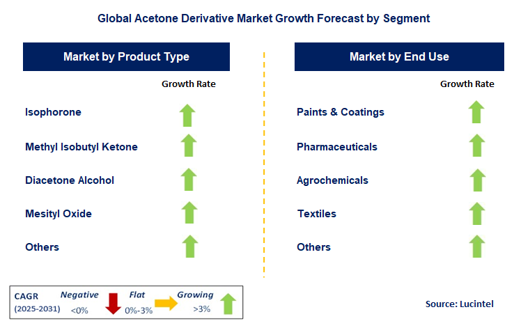 Acetone Derivative Market by Segment