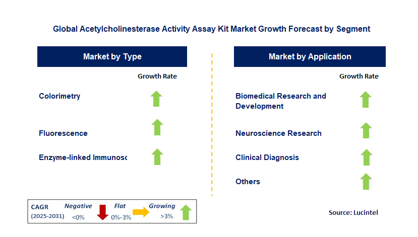 Acetylcholinesterase Activity Assay Kit Market by Segment