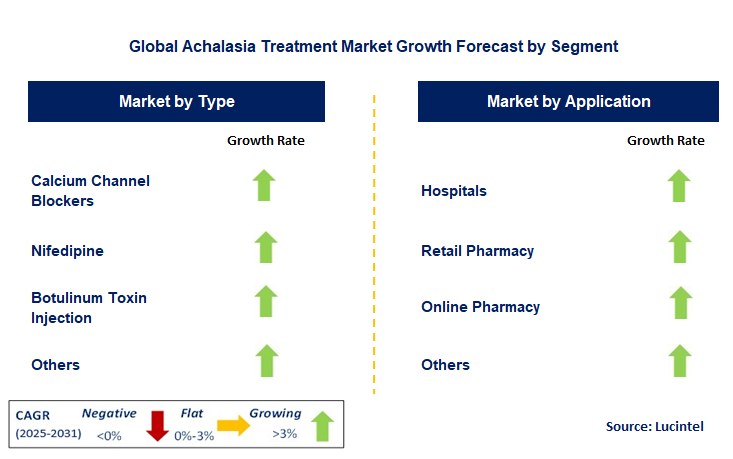 Achalasia Treatment Market by Segment