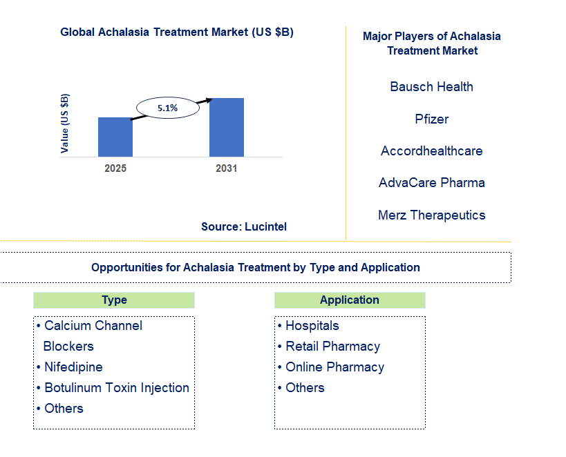 Achalasia Treatment Market Trends and Forecast