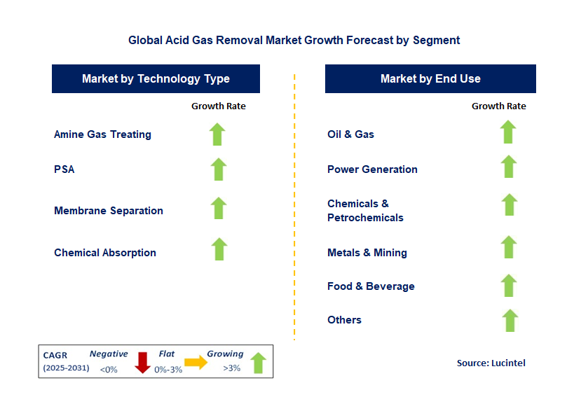Acid Gas Removal Market by Segment