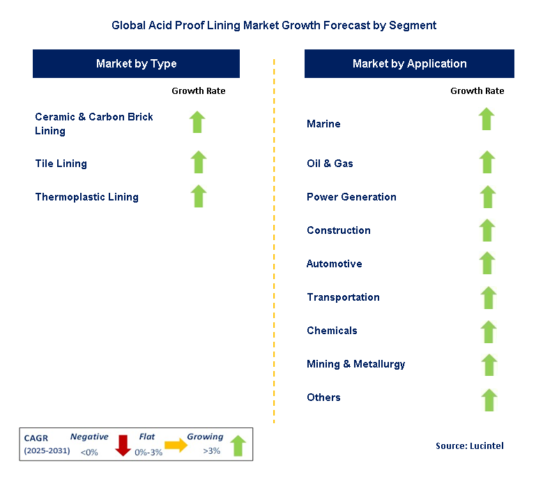 Acid Proof Lining Market by Segment