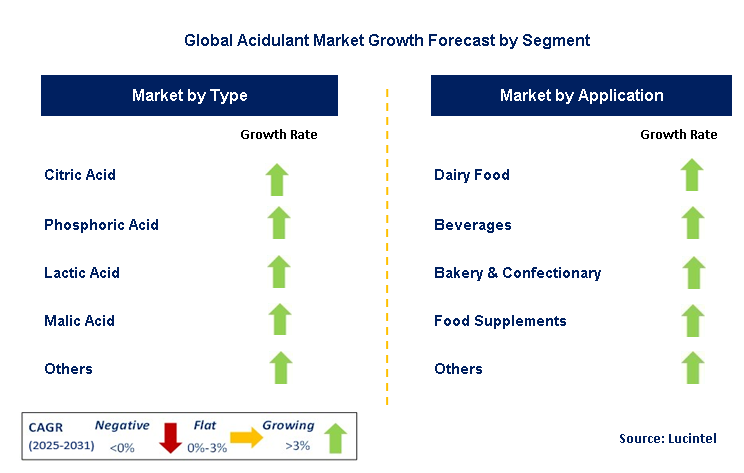 Acidulant Market by Segment