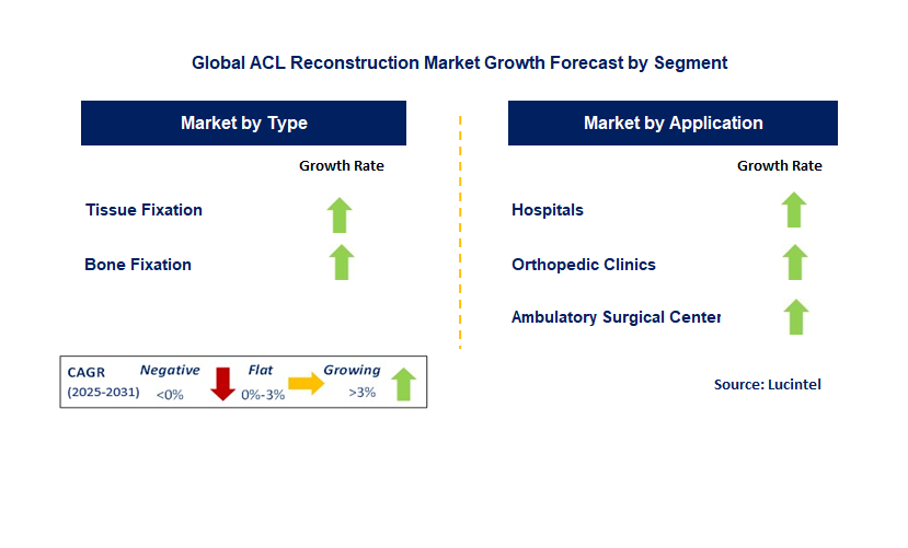ACL Reconstruction Market by Segment