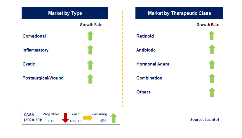 Acne Drug by Segment