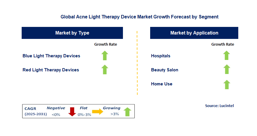 Acne Light Therapy Device Market by Segment