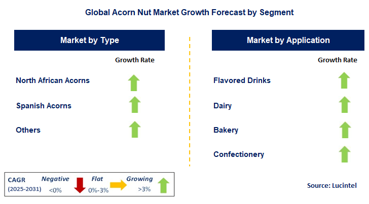 Acorn Nut Market by Segment