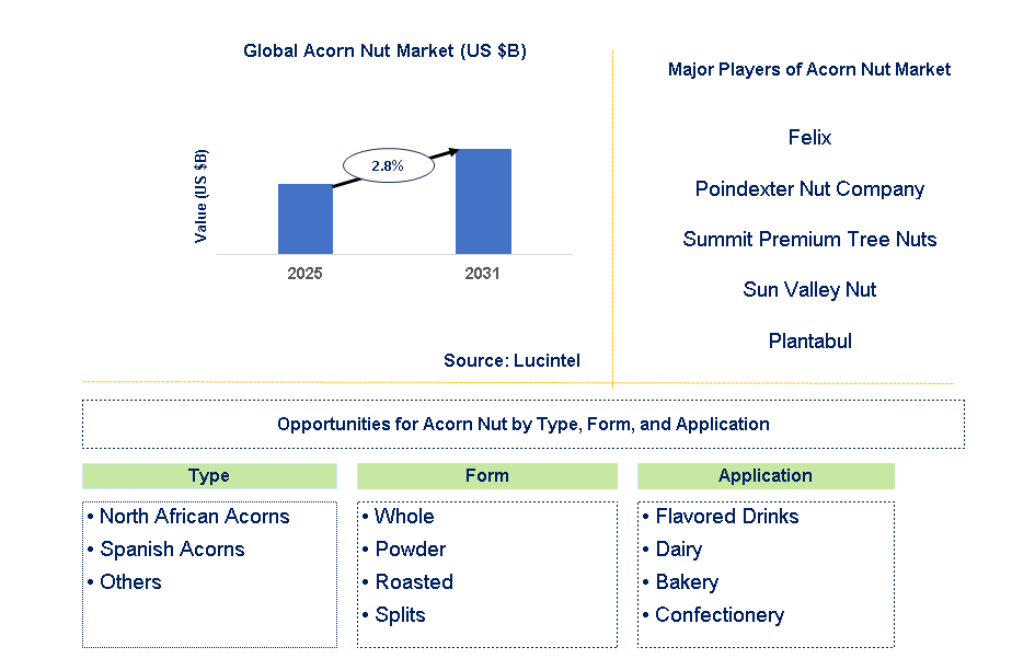 Acorn Nut Market Trends and Forecast