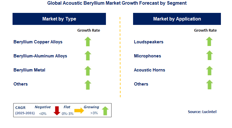 Acoustic Beryllium Market by Segment