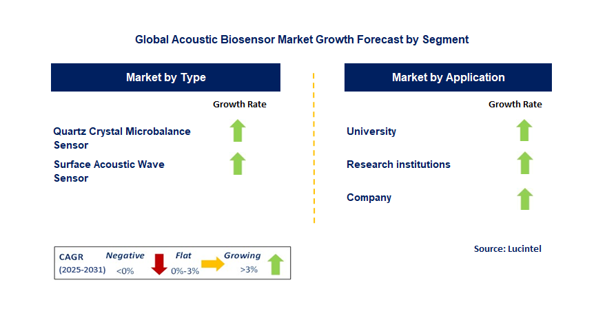 Acoustic Biosensor Market by Segment