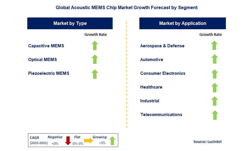 Acoustic MEMS Chip Market by Segment