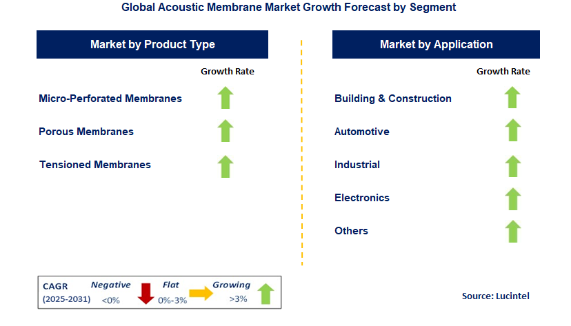 Acoustic Membrane Market by Segment
