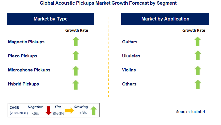 Acoustic Pickups Market by Segment