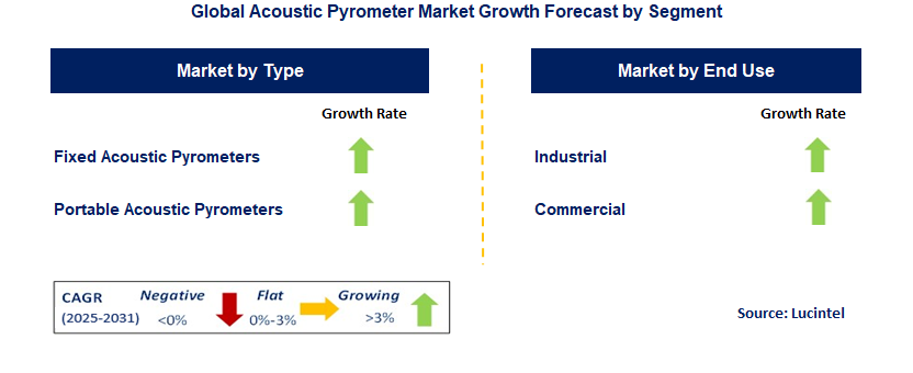 Acoustic Pyrometer Market by Segment
