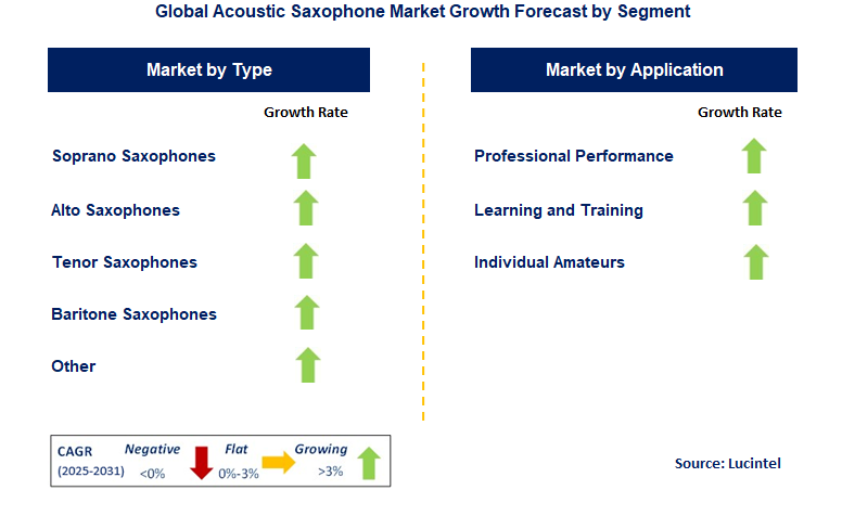 Acoustic Saxophone Market by Segment