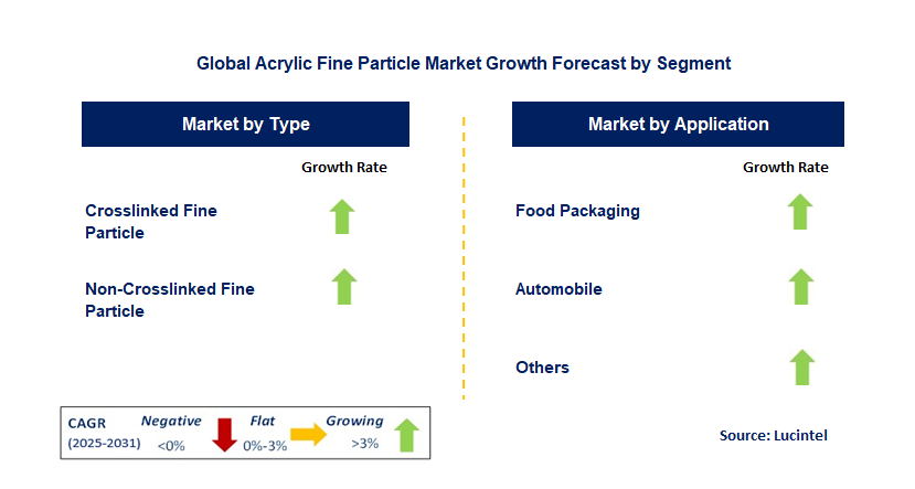 Acrylic Fine Particle Market by Segment