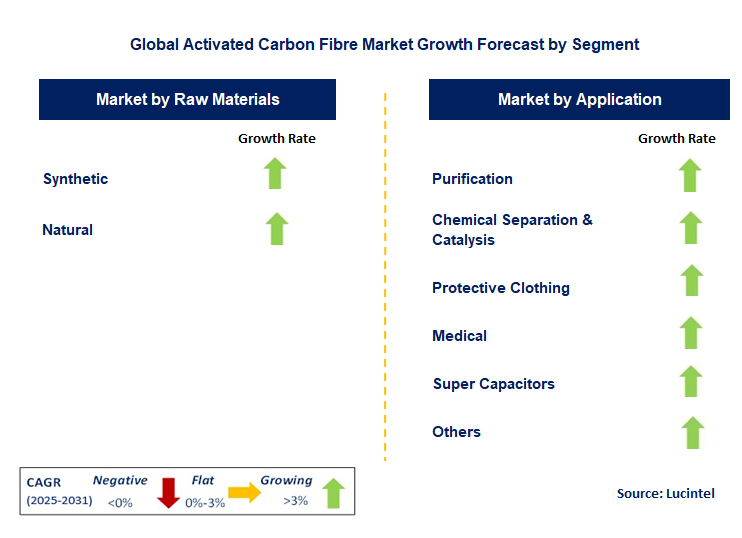 Activated Carbon Fibre Market by Segment
