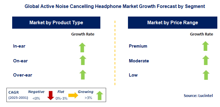 Active Noise Cancelling Headphone Market by Segment