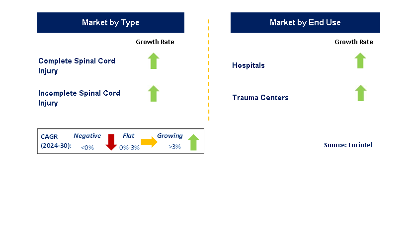 Acute Spinal Cord Injury by Segment