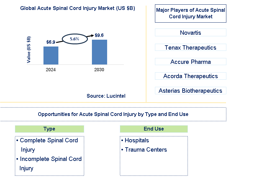 Acute Spinal Cord Injury Trends and Forecast