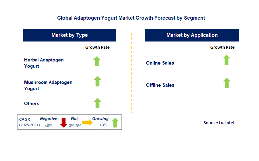 Adaptogen Yogurt Market by Segment