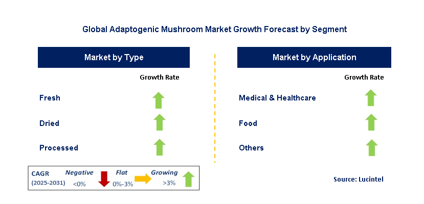 Adaptogenic Mushroom Market by Segment