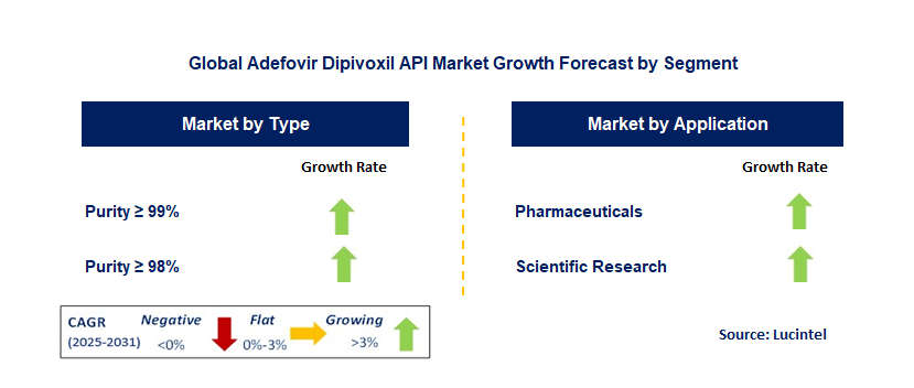Adefovir Dipivoxil API Market by Segment