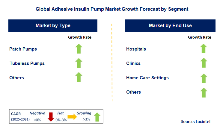Adhesive Insulin Pump Market by Segment