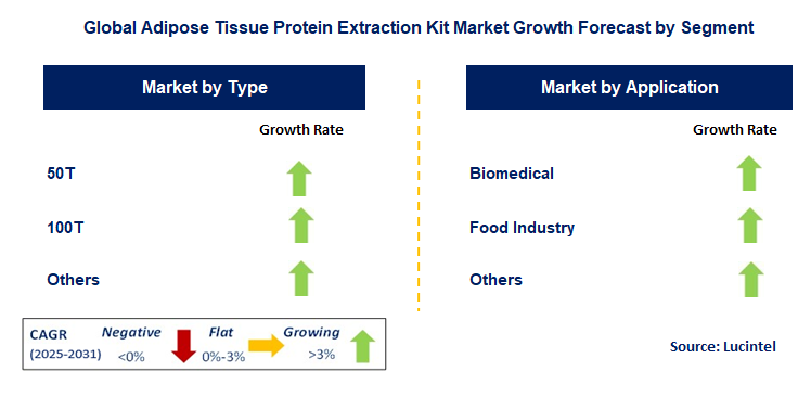 Adipose Tissue Protein Extraction Kit Market by Segment
