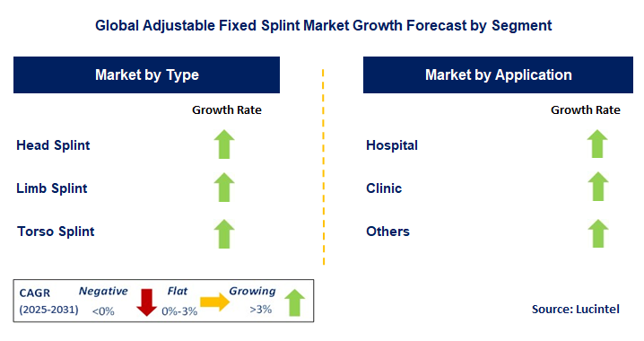 Adjustable Fixed Splint Market by Segment