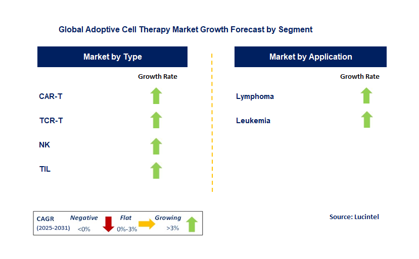 Adoptive Cell Therapy Market by Segment
