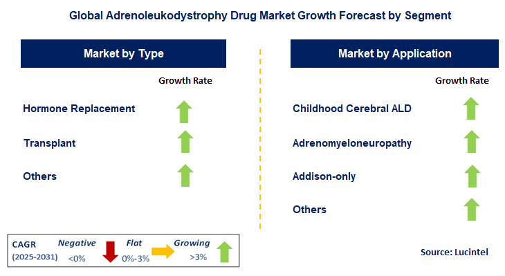Adrenoleukodystrophy Drug Market by Segment