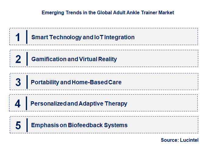 Emerging Trends in the Adult Ankle Trainer Market
