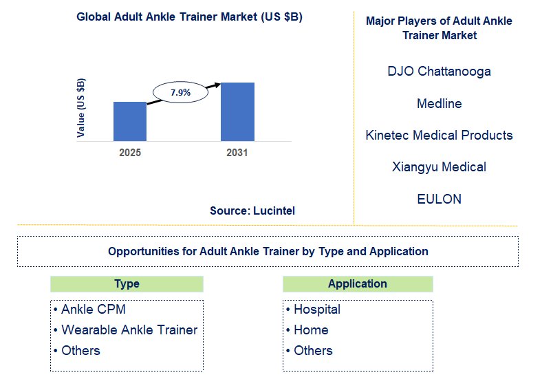 Adult Ankle Trainer Market Trends and Forecast