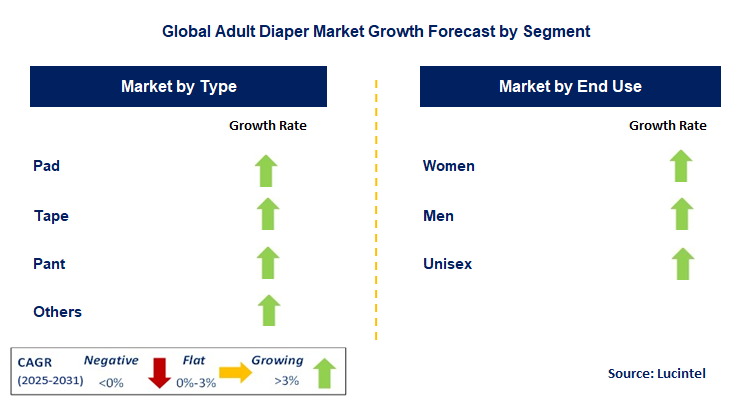 Adult Diaper Market by Segment