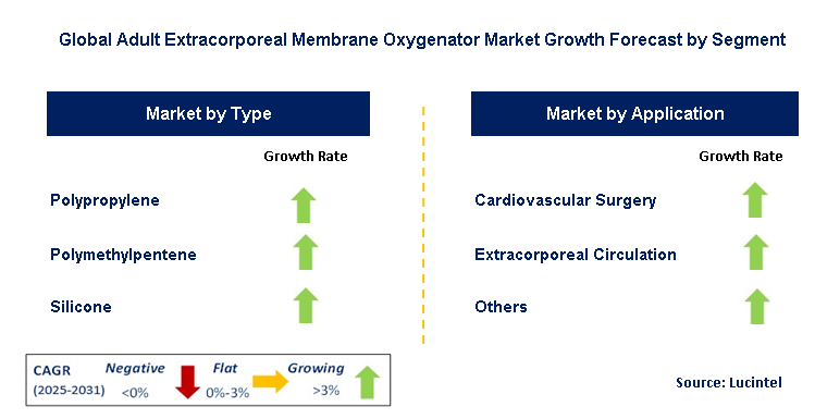 Adult Extracorporeal Membrane Oxygenator Market by Segment