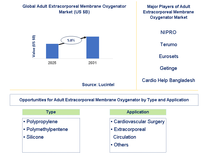 Adult Extracorporeal Membrane Oxygenator Market Trends and Forecast