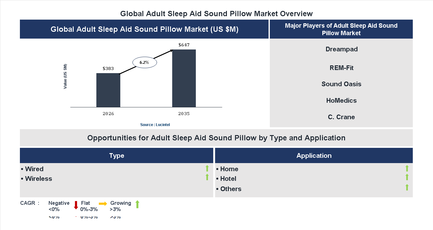 Adult Sleep Aid Sound Pillow Market Trends and Forecast