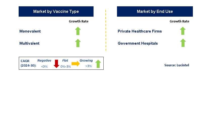 Adult Vaccine by Segment