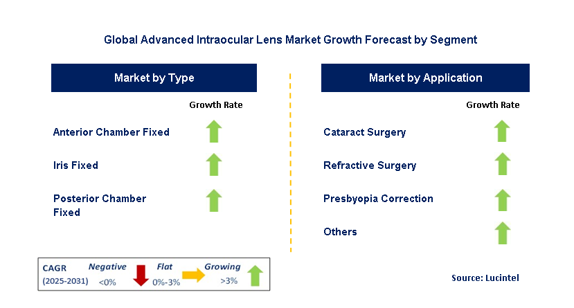 Advanced Intraocular Lens Market by Segment