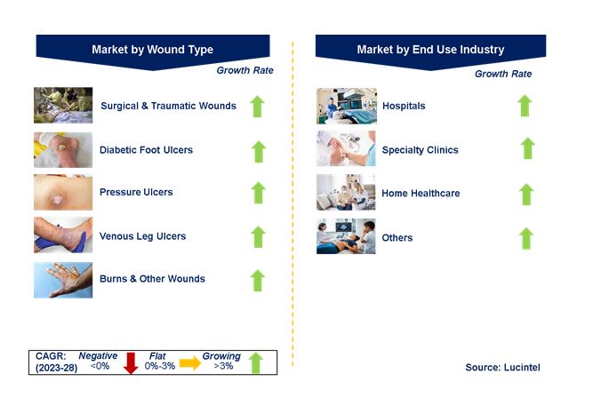 Advanced Wound Care Market by Segments