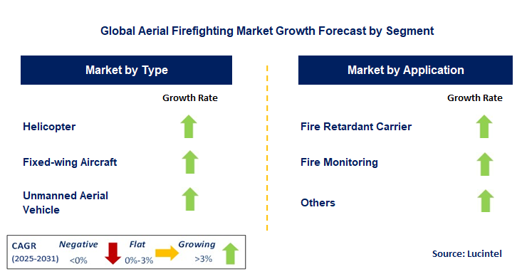 Aerial Firefighting Market by Segment