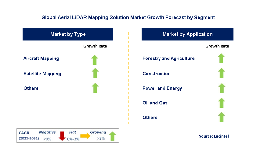 Aerial LiDAR Mapping Solution Market by Segment