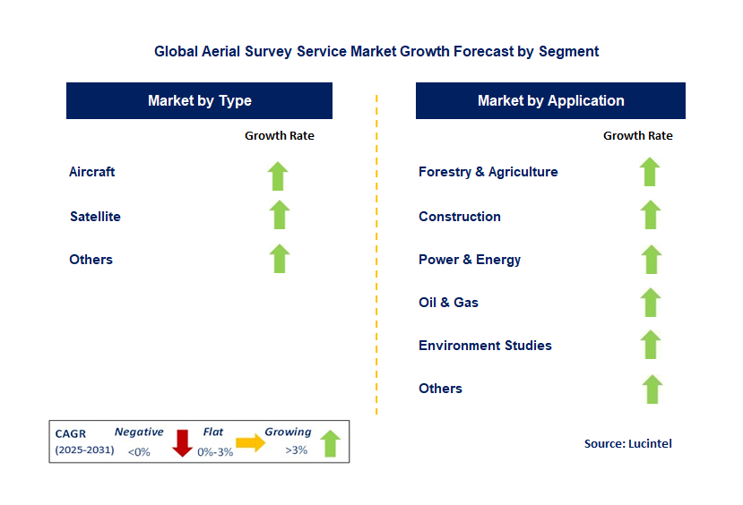 Aerial Survey Service Market by Segment