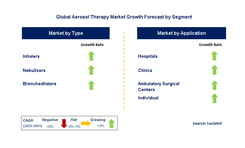 Aerosol Therapy Market by Segment