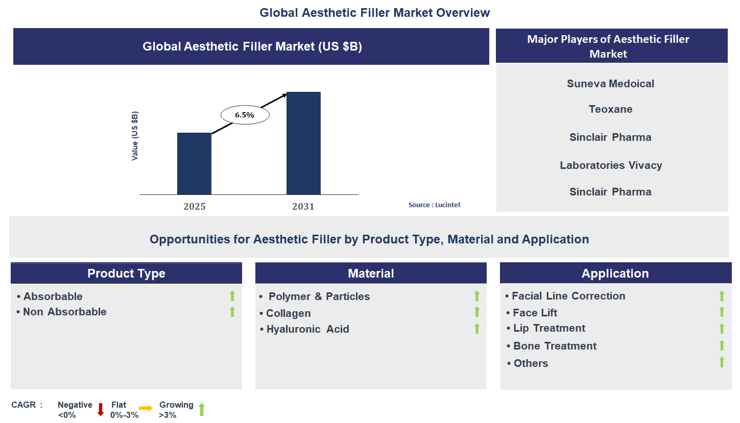 Aesthetic Filler Market Trends and Forecast