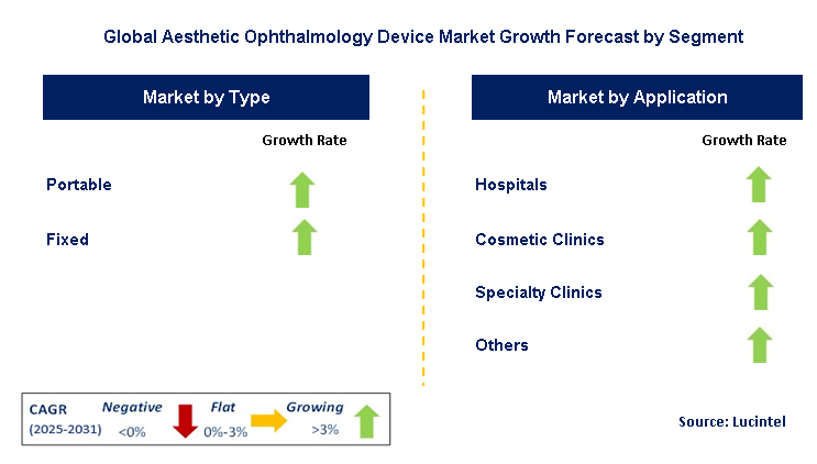Aesthetic Ophthalmology Device Market by Segment