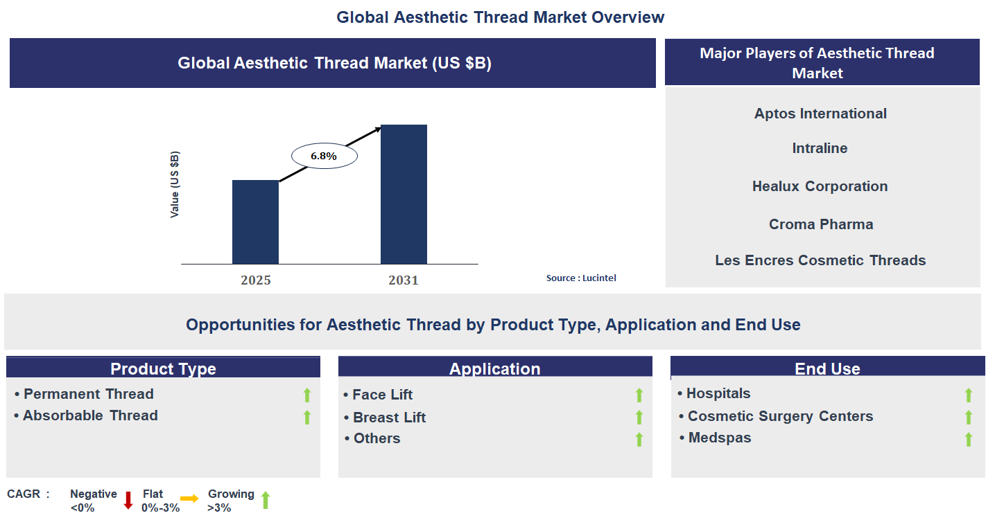 Aesthetic Thread Market Trends and Forecast