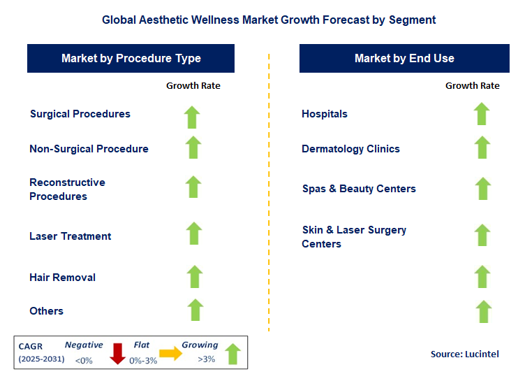 Aesthetic Wellness Market by Segment