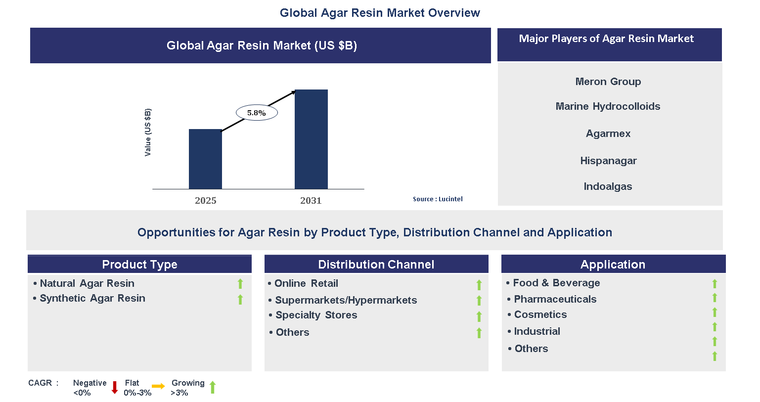 Agar Resin Market Trends and Forecast